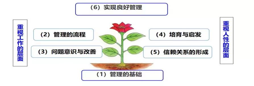 MTP的6個知識架構與應用.jpg