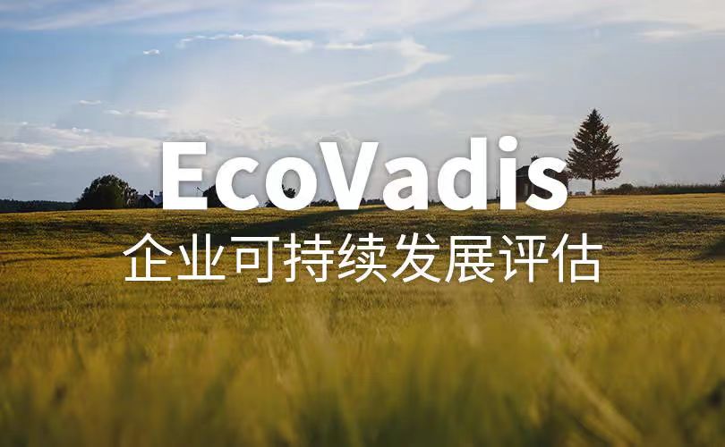 EcoVadis-1.jpg