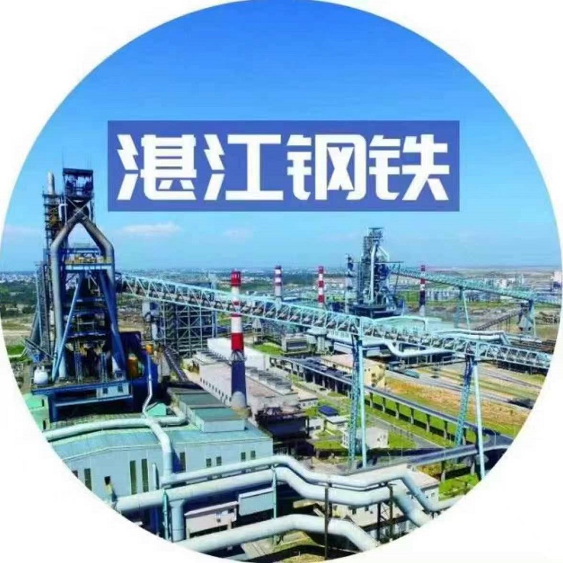 logo湛江鋼鐵-1.jpg